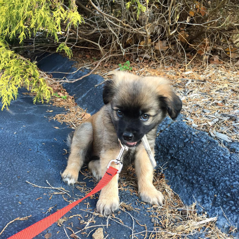 Welcome Home, Asher