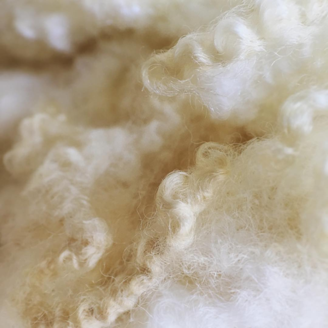 Spinning Plans for Clementine