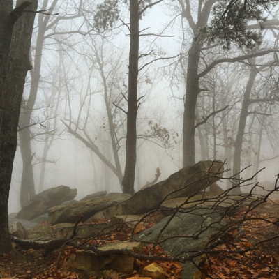 Foggy rock formations