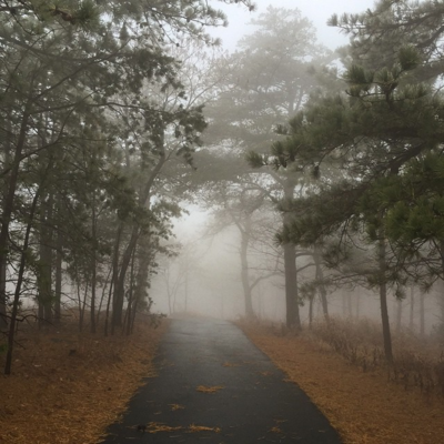 So much fog